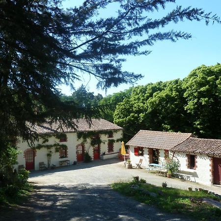 Chambres D'Hotes - B&B Getigne Luaran gambar